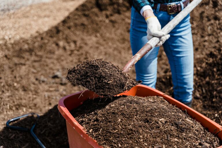 Beginner Tips for Composting at Home: Easy Steps to Get Started